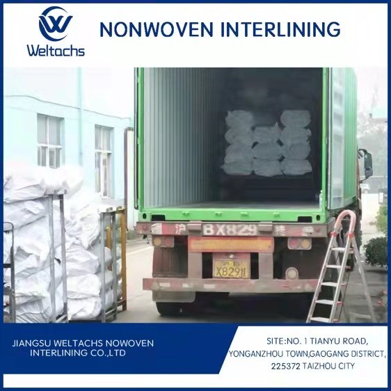Polyester Non Woven Fusible Interlining